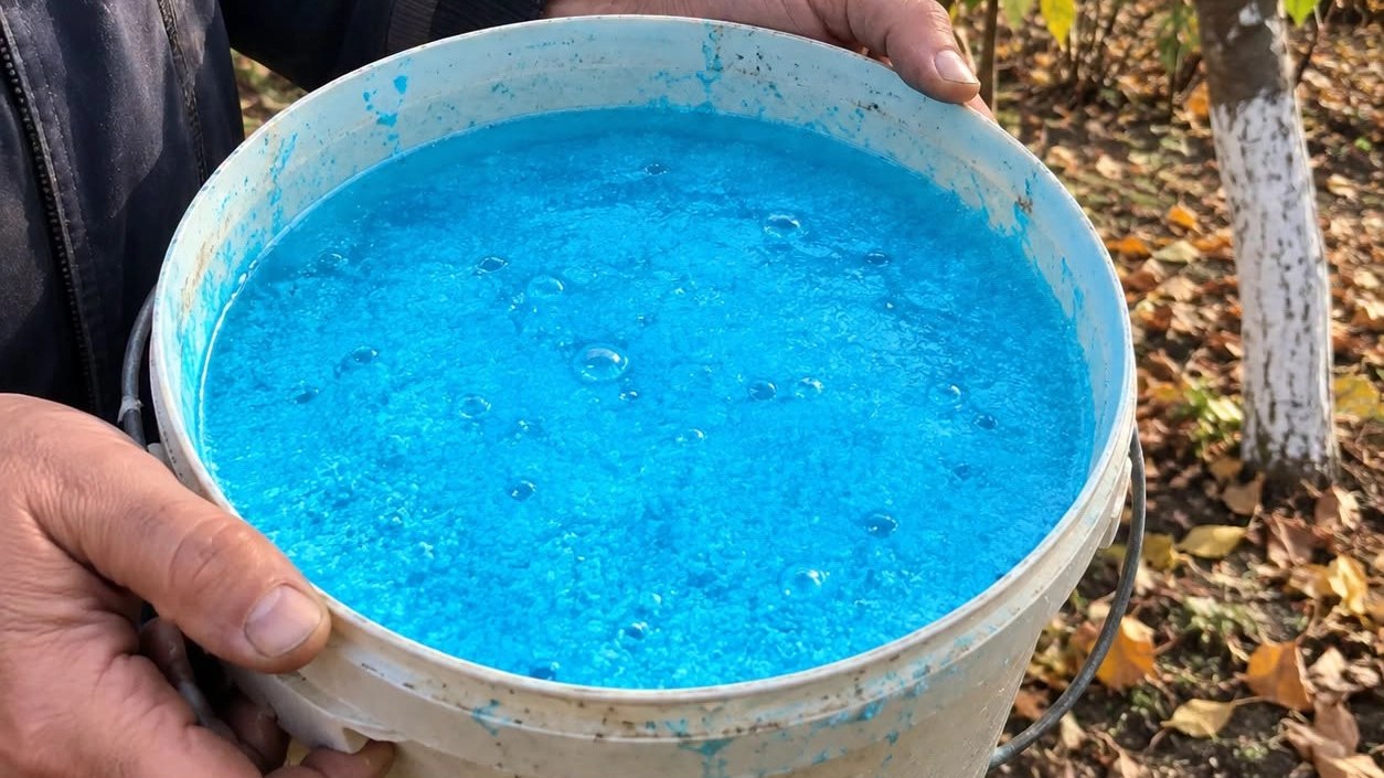 Geležies sulfatas rudenį: kodėl juo purškiami sodo medžiai ir kada jis iš tiesų reikalingas