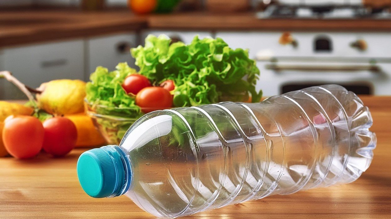 Neišmeskite tuščio plastikinio butelio: virtuvėje iš jo per minutę pasidarysite 5 nepakeičiamus daiktus