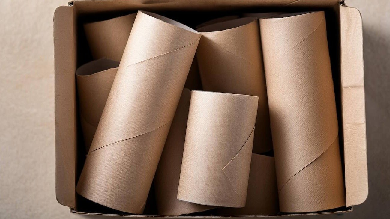 Neišmeskite tualetinio popieriaus įvorių: 3 būdai, kaip jos praverčia namuose, sode ir spintoje